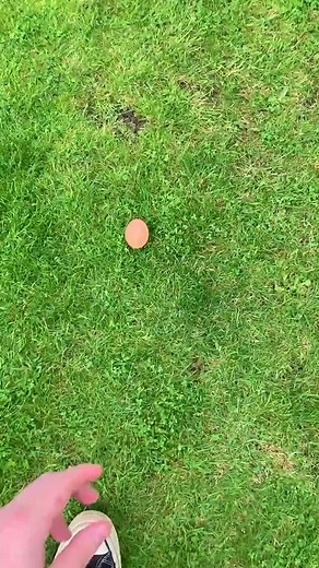 Wow, this worked egg-cellently! #animation #eggchallenge #egg #hatch