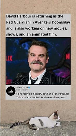 Jim Hopper takes on Marvel Animation and Dark New Roles After Stranger Things #strangerthings