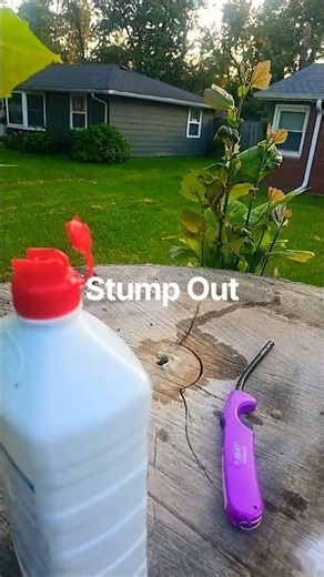 Kill a Tree Stump For Good #diy #garden