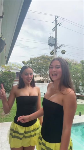 Exploring the Fascinating World of Beeesss