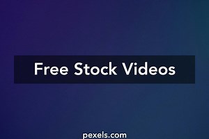 Free Man Hand Reaching Out Videos