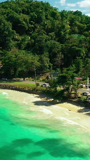 85K views · 533 reactions | Norwich, Portland, Jamaica  #jamaica #portlandjamaica | sheldonlev | Facebook