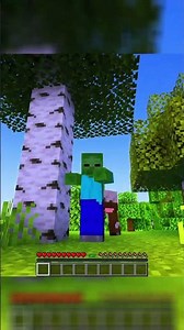 DAMAGE TURNS ME INTO RANDOM MOBS in MINECRAFT!