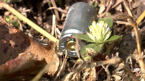 Samoans flock to churches to mourn tsunami victims