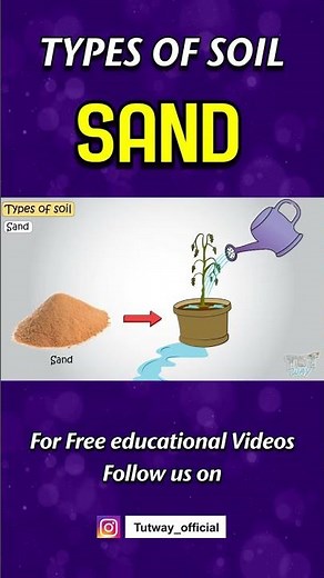 Types of Soil - Sand | Components of Soil | Properties of Soil | Science #shorts