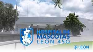 3.7K reactions · 365 shares | ¡Hoy cumplimos un sueño ciudadano! El #HospitalDeMascotas León 450, ya es una realidad . Un espacio donde cada ser sintiente recibe atención digna. Así #AvanzaLeón, cuidando todas las vidas. 欄 | León Municipio | Facebook