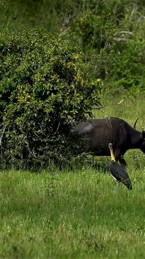 Exploring the Best of Las Cruces