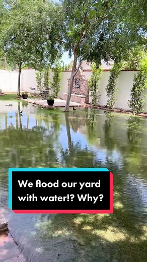 Flood Irrigation in Metro Phoenix Explained