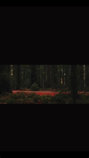 Rate it ?/10.#fyp#foryoupage@Shaggy