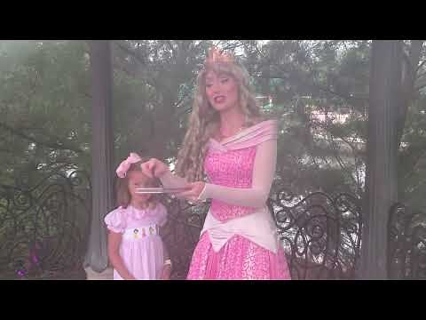 Meeting Princess Aurora in the France Pavilion at Epcot
