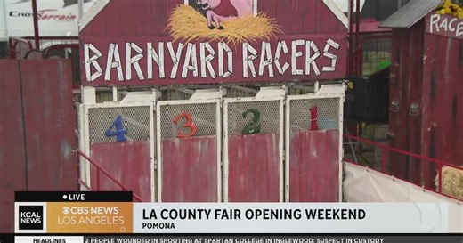 Barnyard races take center stage at L.A. County Fair with baby goats, pigs