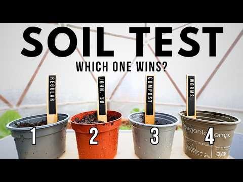 4 Soils. Same Seeds. Completely Different Germination Results! • Ep. 71