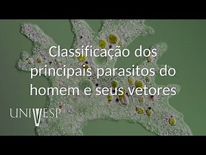 Parasitology - Class 02 - Classification of the main human parasites and their vectors