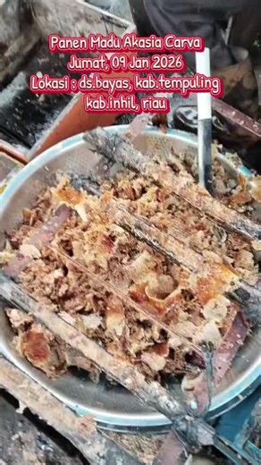 Open order : 08117574094 #fypシ゚viral #madu_asli_murni_alami #madu_akasia_carva