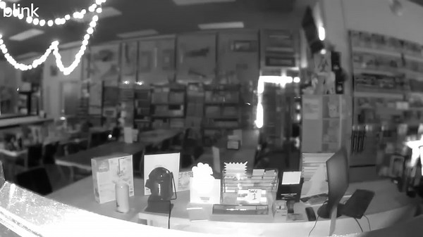 Security footage of card store thefts