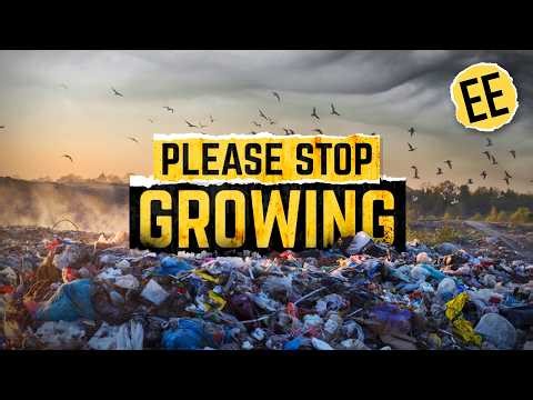 The Degrowth Paradox