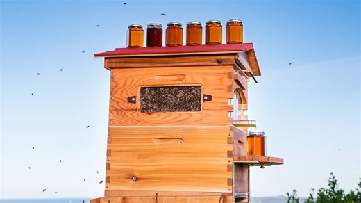 19K views · 603 reactions | It’s almost been a year since we were...