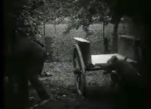 A glimpse into the history of beekeeping 🐝💨🍯 #honeybees #bees #beekeeping #naturalbeekeeping #beekeepers #beehive #skephive #beekeepinghistory | Sol Nectar Farm