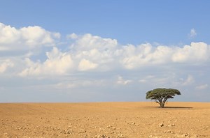 なぜ今アフリカから学ばなければならないのか、アフリカから見えてくる新しい思考 【著者が語る】『アフリカ哲学全史』河野哲也が語る（後編）、「アフリカに哲学はあるのか？」 | JBpress (ジェイビープレス)