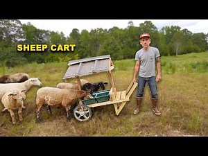 Building a Sheep Mineral Feeder to Move On Pasture