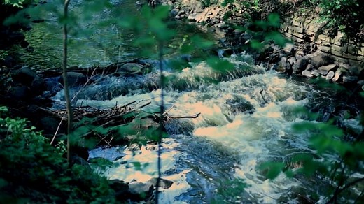 River, Rapids, Stream. Free Stock Video