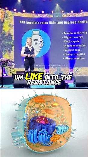 NAD Supplements for Longevity | NAD Booster Supplement for Anti Aging