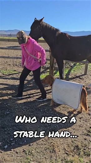 Who needs a stable hand when you’ve got a stable pup 🐶💛