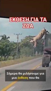 Μια έκθεση για τα ζώα που θα σου κόψει την ανάσα