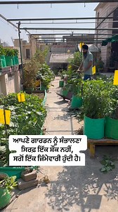 273K views · 4.8K reactions | In our garden, we use this simple yet...