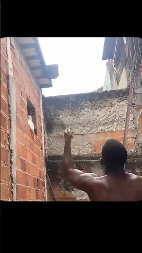 kite flying without wind #shorts #motivationkiteflying