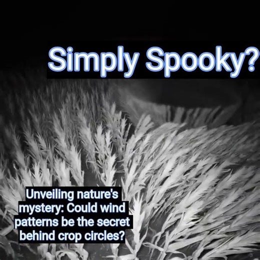 When the Wind Turns Magical