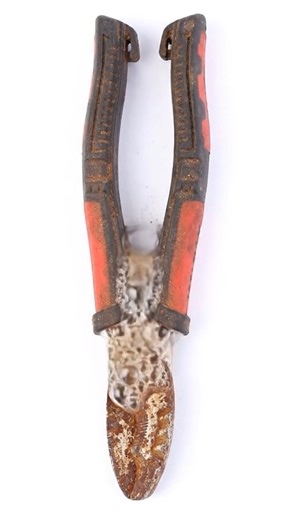 “Rusty Plier Restoration in Vinegar | Satisfying Transformation ASMR”