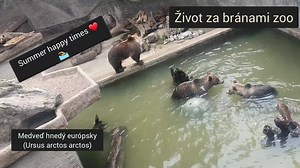 S kamerou sme sa prešli po našej zoo.. 🙂 | ZOO BOJNICE