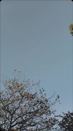 Outgrown - Ariana Grande #lyrics #arianagrande #outgrown #lyricsvideo #fyp