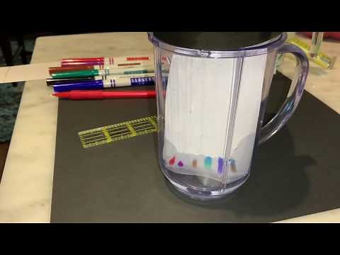 Paper Chromatography Separation on Inks