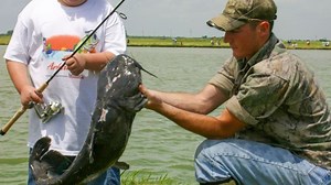 Catfish bonanza: Arkansas ponds stocked with 20,000 pounds of fish
