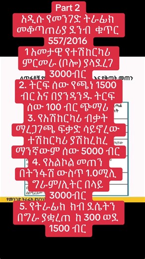አዲሱ የትራፊክ ቅጣት - ምርመሪያዊ መቆጣጠሪያ በመንገድ ትራፊክ ክፍል 2