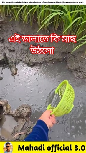 What fish came out of this basket? 🐟#viralvideo #facts #fishinggear #fishinglife #fish