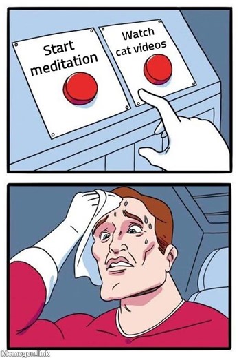 🧘‍♂️ Meditate or Cat Videos? 🤔 #shorts #meme #relatable #funny #viral