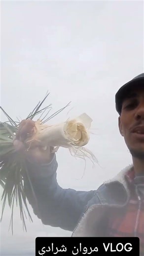 طلعنا اذا راس الجبل ووجدنا اثار الخنزير #funny #التغطيه #اكسبلور #التغطيه #اعتني #الثامن #comedy