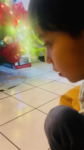 Bienvenido al Mundo, Pequeño Dinosaurio: Navidad y Aventuras