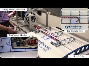 Parametric Design of a Tendon-Driven Continuum Robot for Industrial Applications