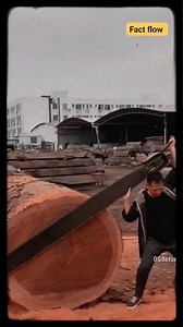 154K views · 969 reactions | "China वालों का खतरनाक जुगाड़ देख रह जाएंगे हैरान!  #Facts #Amazing #Technology #Innovation #MindBlowing" | Fact Flow | Facebook