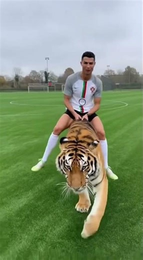 Cristiano Ronaldo's Wild Ride: On a Tiger! #CR7 #FootballFun