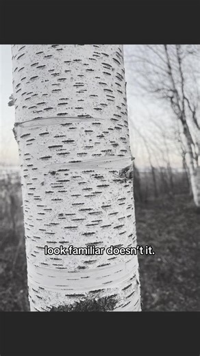 #shh | do he look familiar