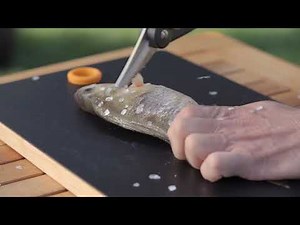 Fiskars Kitchen Poultry And Fish Scissors - Easy To Use