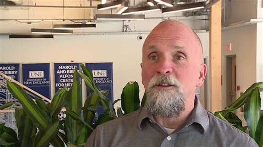 UNE to launch online program for cannabis certifications