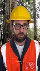 41K views · 623 reactions | Watch This Huge Tree Fall P | Adam Fans | Facebook