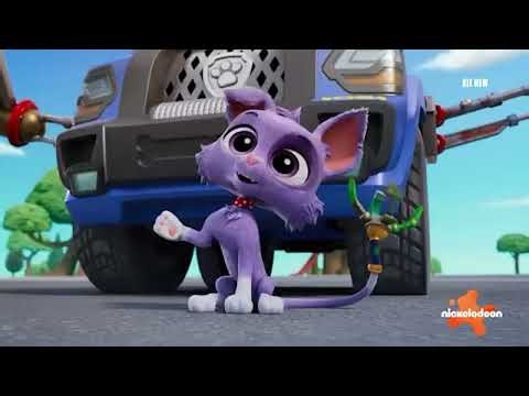 Paw Patrol AMV Purrcy - Rare Candy Energy