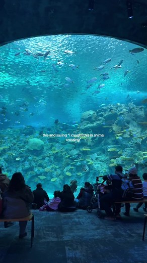 Exploring the Seattle Aquarium With Animal Crossing Inspiration